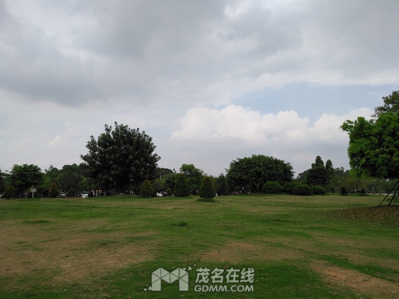 IMG_20170519_153212.jpg