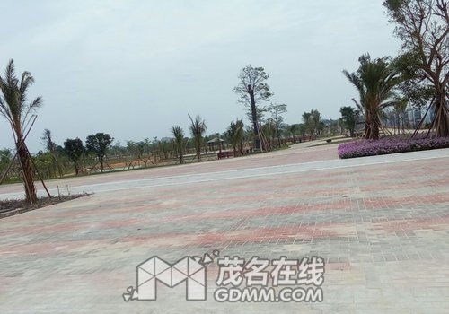 291062-b8c31ddda7d049d63d1aaba64f6b4d93.jpg