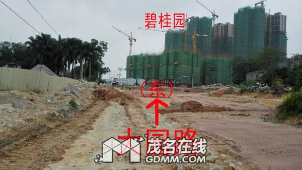 151306f3lrte4geigrhrgp.jpg