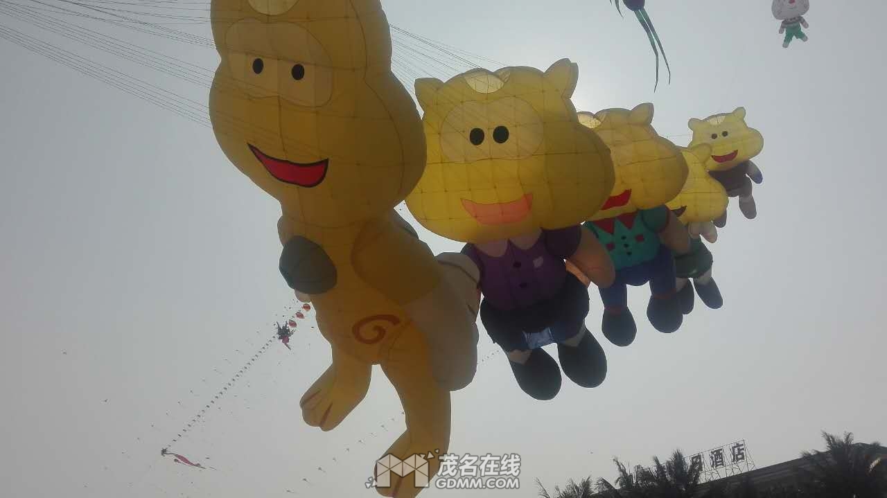 808717955.jpg