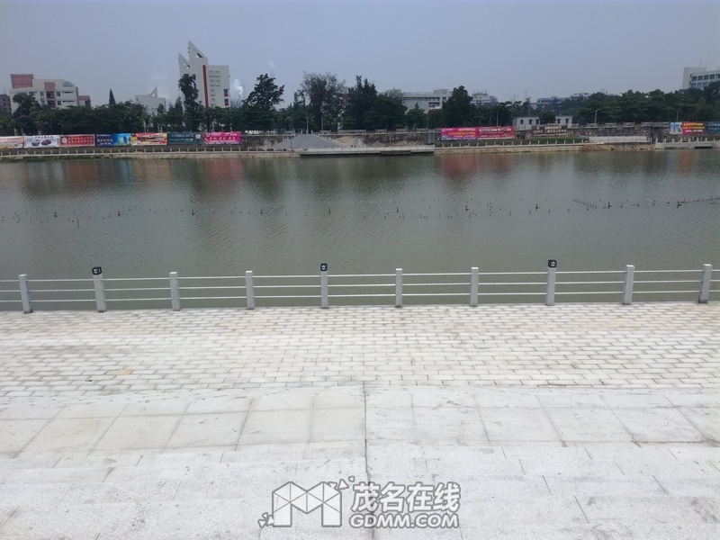 IMG_20170528_115636.jpg