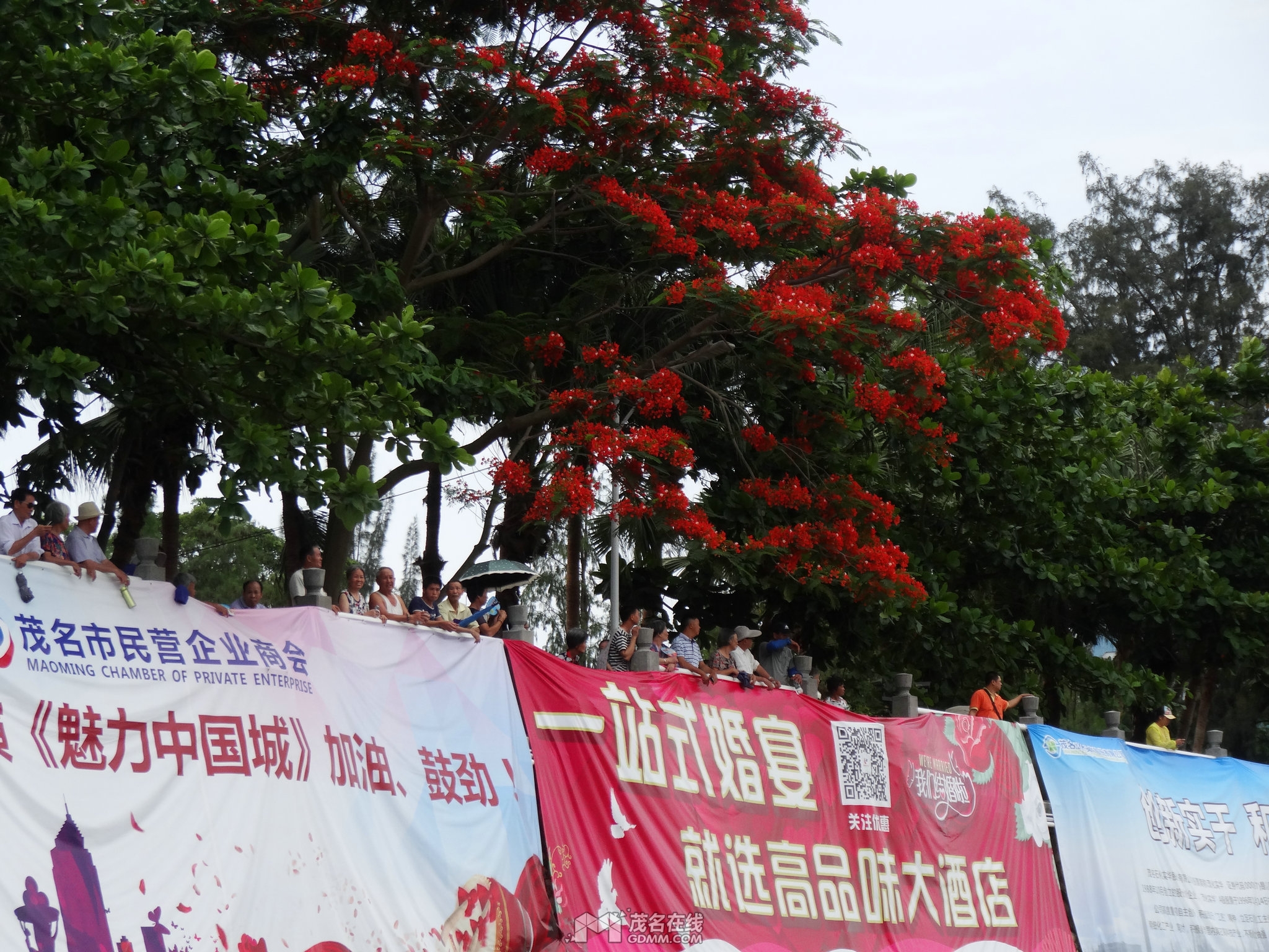 DSC00048.JPG
