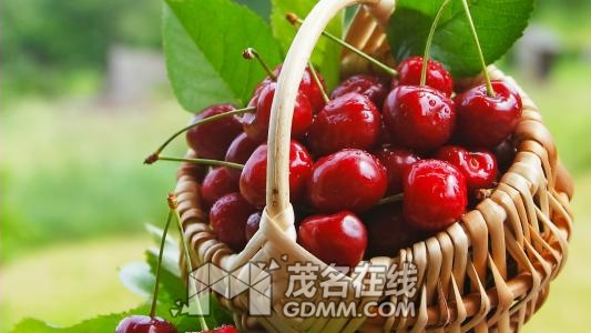 u=1485236816,2293333715&amp;fm=23&amp;gp=0.jpg