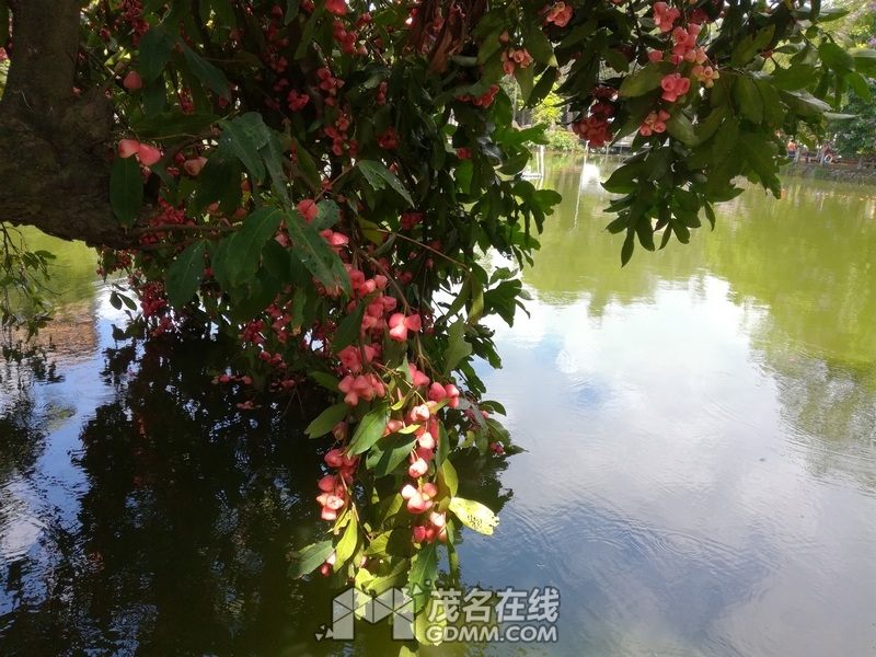 IMG_20170611_104754.jpg