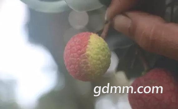 360ͼ20170620120555104.jpg