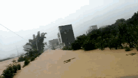 20.gif
