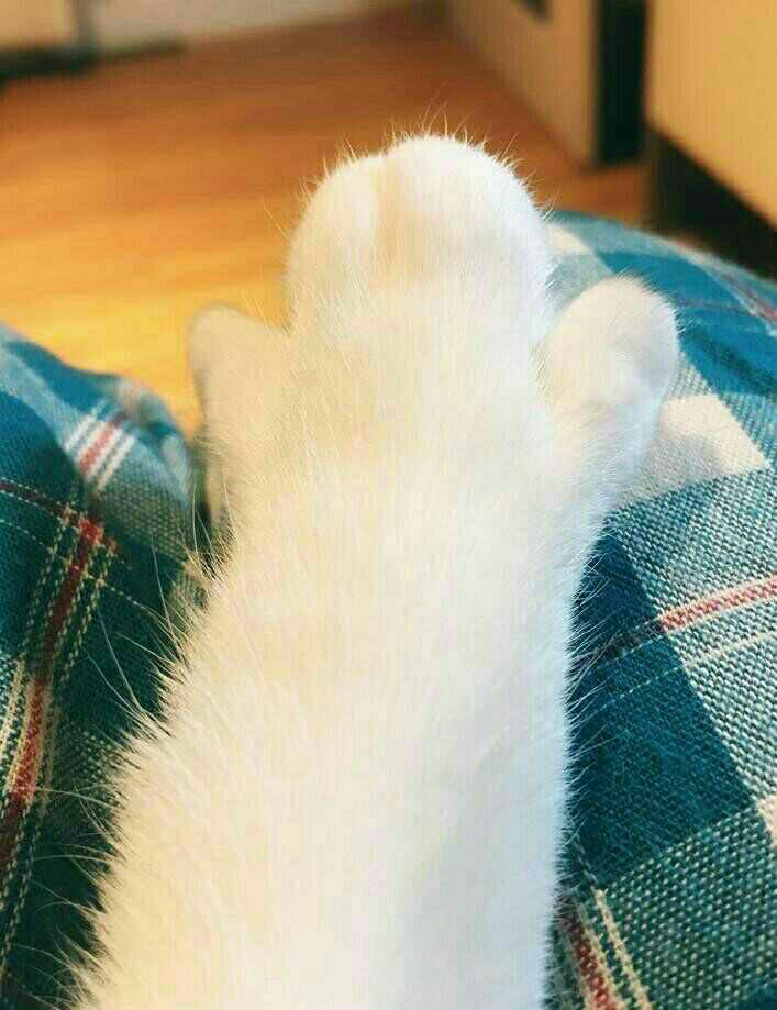 1498274850861_.jpg