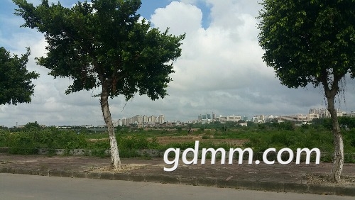 wx_camera_1498550898510.jpg