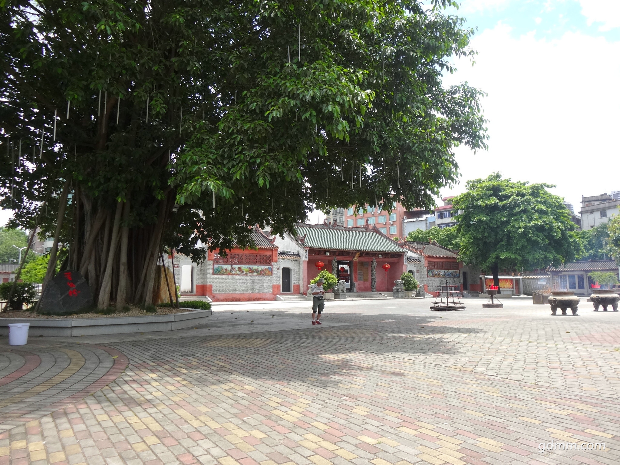 DSC02870.JPG