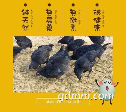 u=2768427590,438400799&amp;fm=214&amp;gp=0.jpg