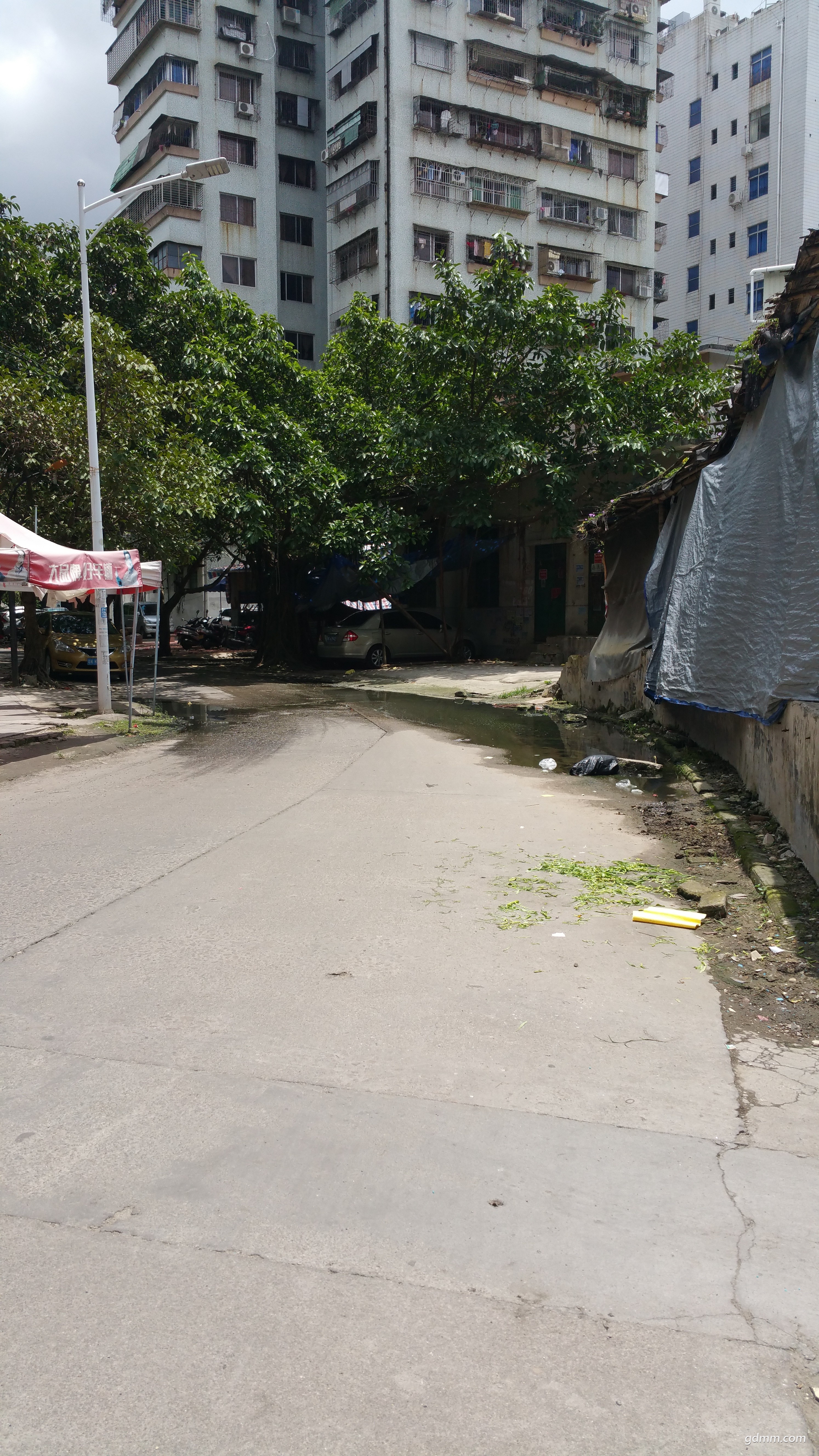 20170707_121100.jpg