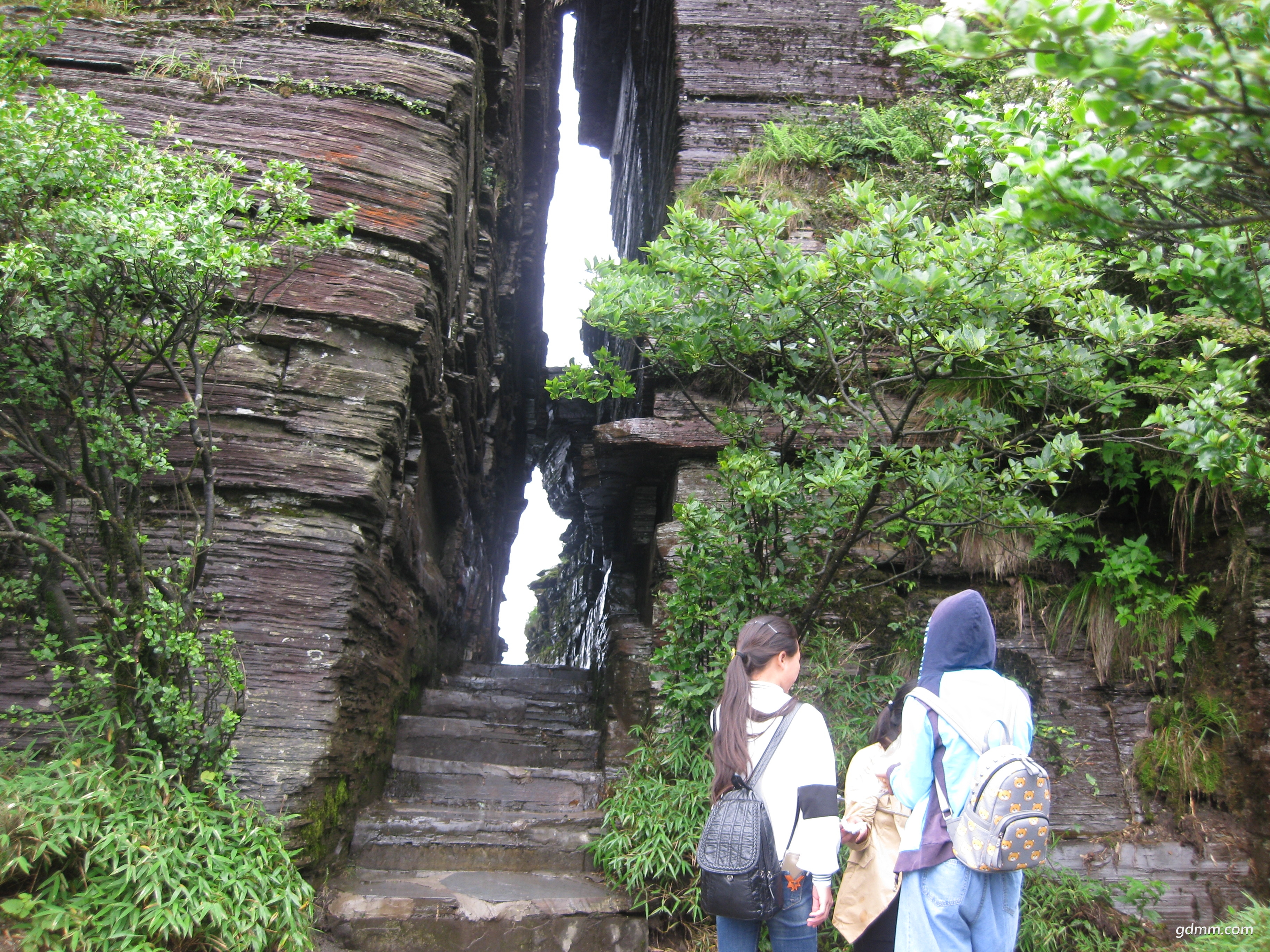 IMG_2463.JPG