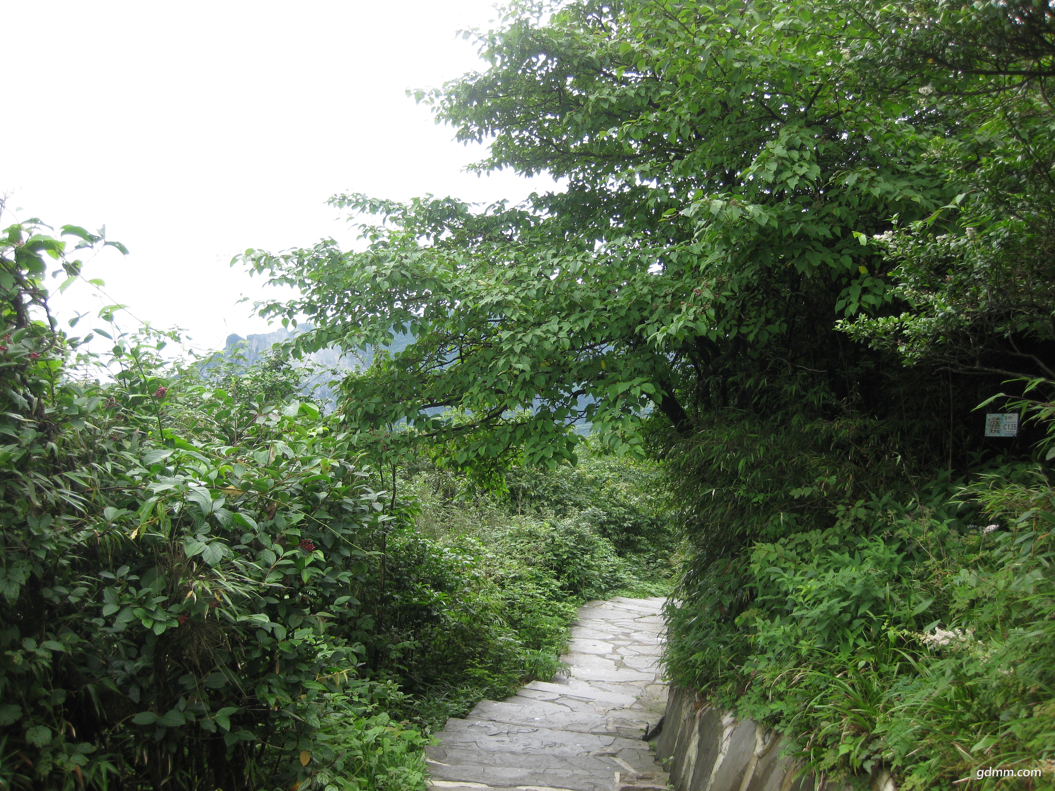 IMG_2593.JPG