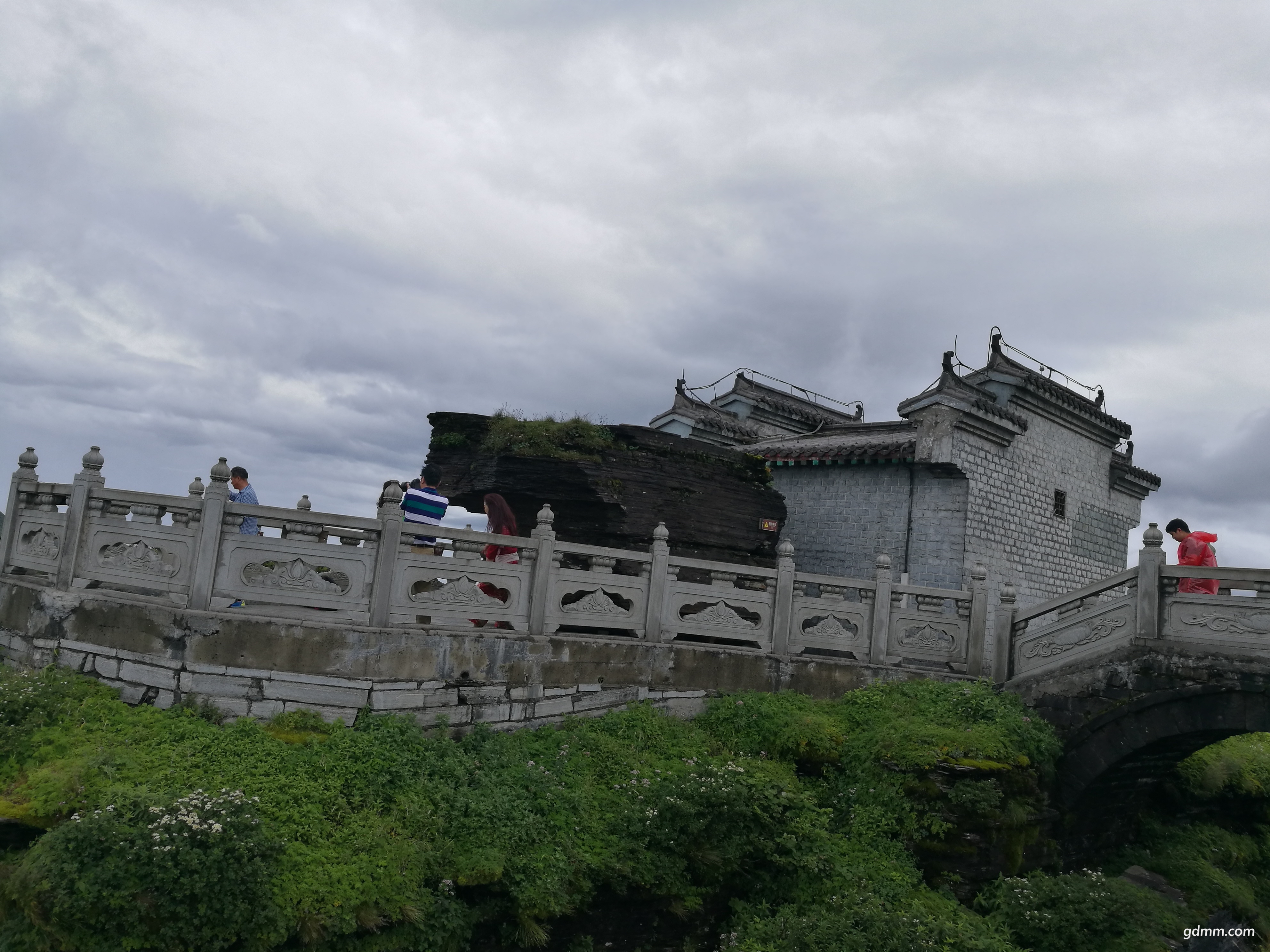 IMG_20170709_111859.jpg