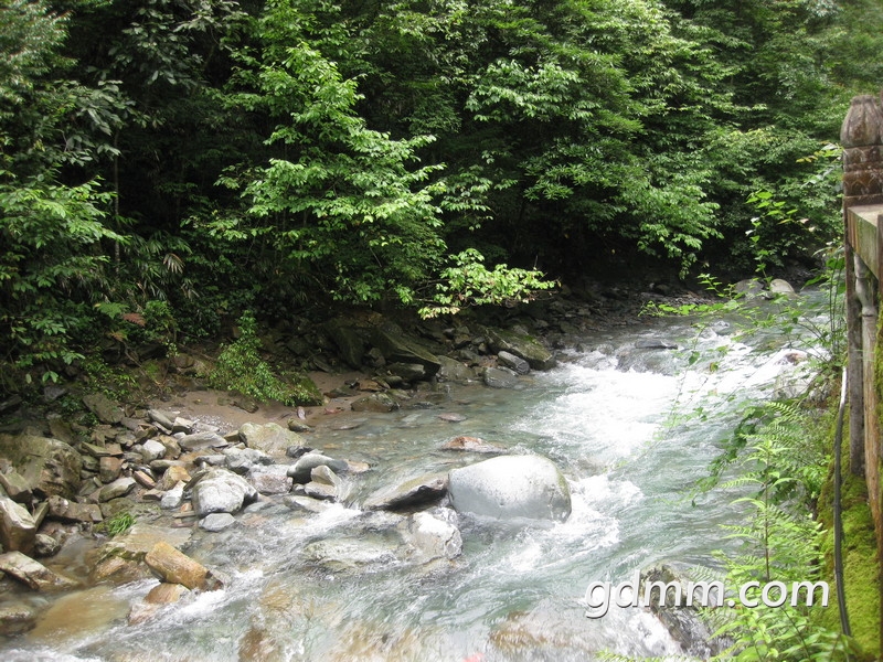 IMG_2615.JPG