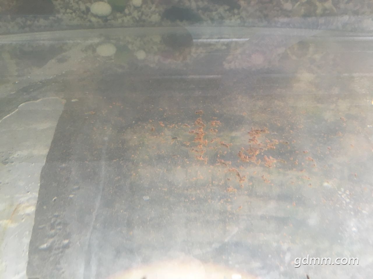 ΢ͼƬ_20170724094020.jpg