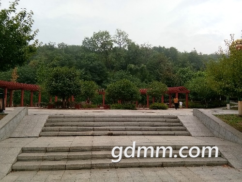IMG_20170803_174221.jpg