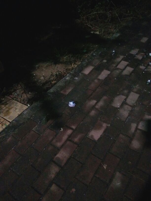 1501761054315_.jpg