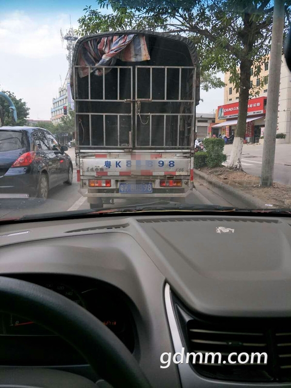 231413gbbcnve3elc455cc_.jpg