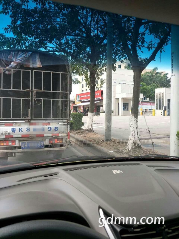 231411cwtl6ihwdeqtwqxa_.jpg