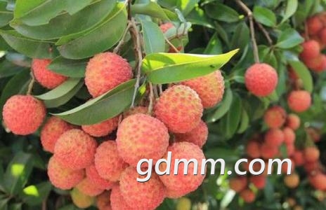 u=687016141,2601541876&amp;fm=26&amp;gp=0.jpg