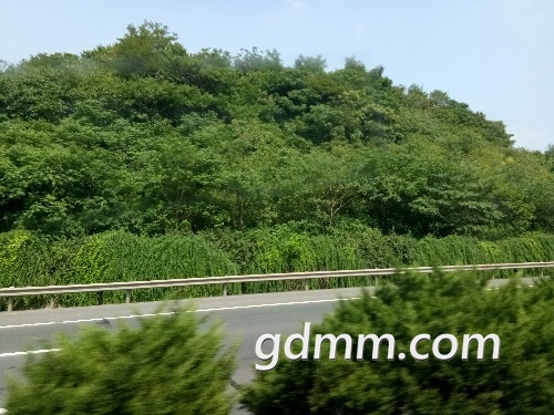 IMG_20170821_140018.jpg