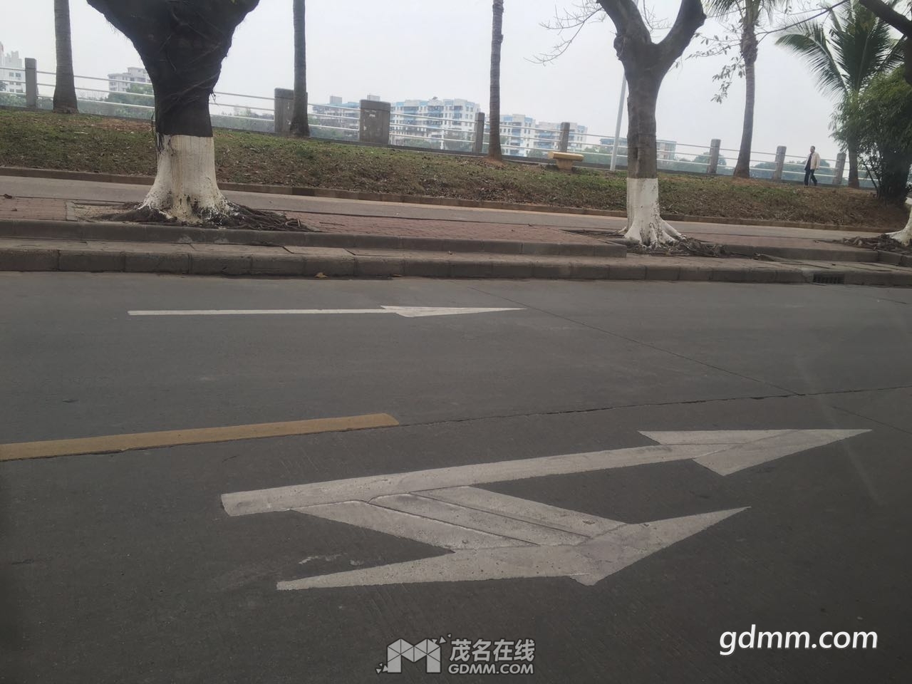 185022t7flg33l3e18eygy.jpg