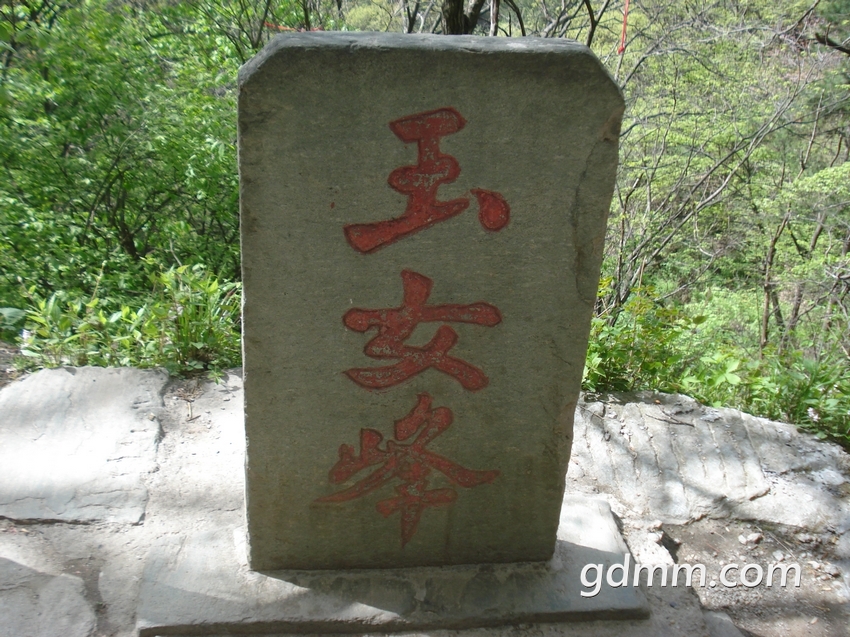 nEO_IMG_DSC08315.jpg