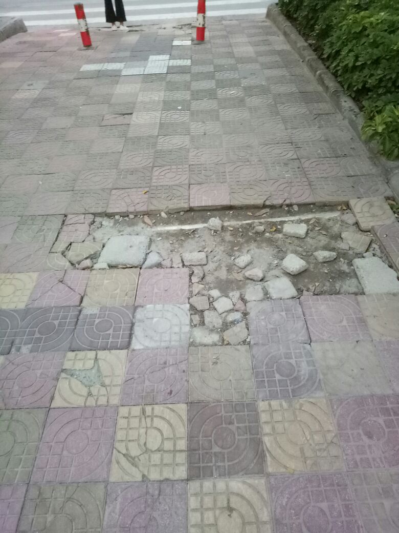 1504965804627_.jpg