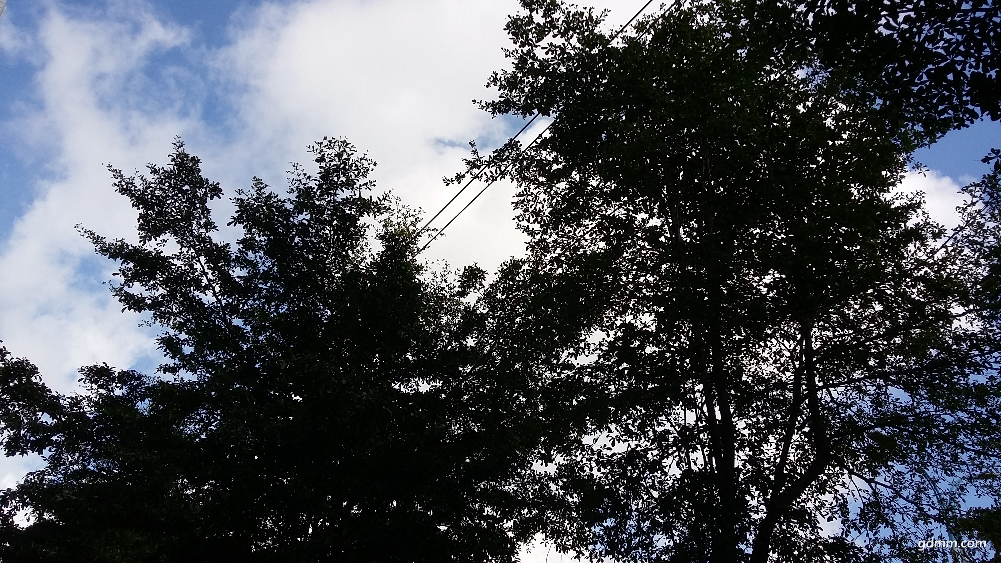 20170910_090228.jpg