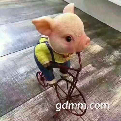 hdImg_d8e46181fb1f8942c2d296c4f0d52d361505181602347.jpg