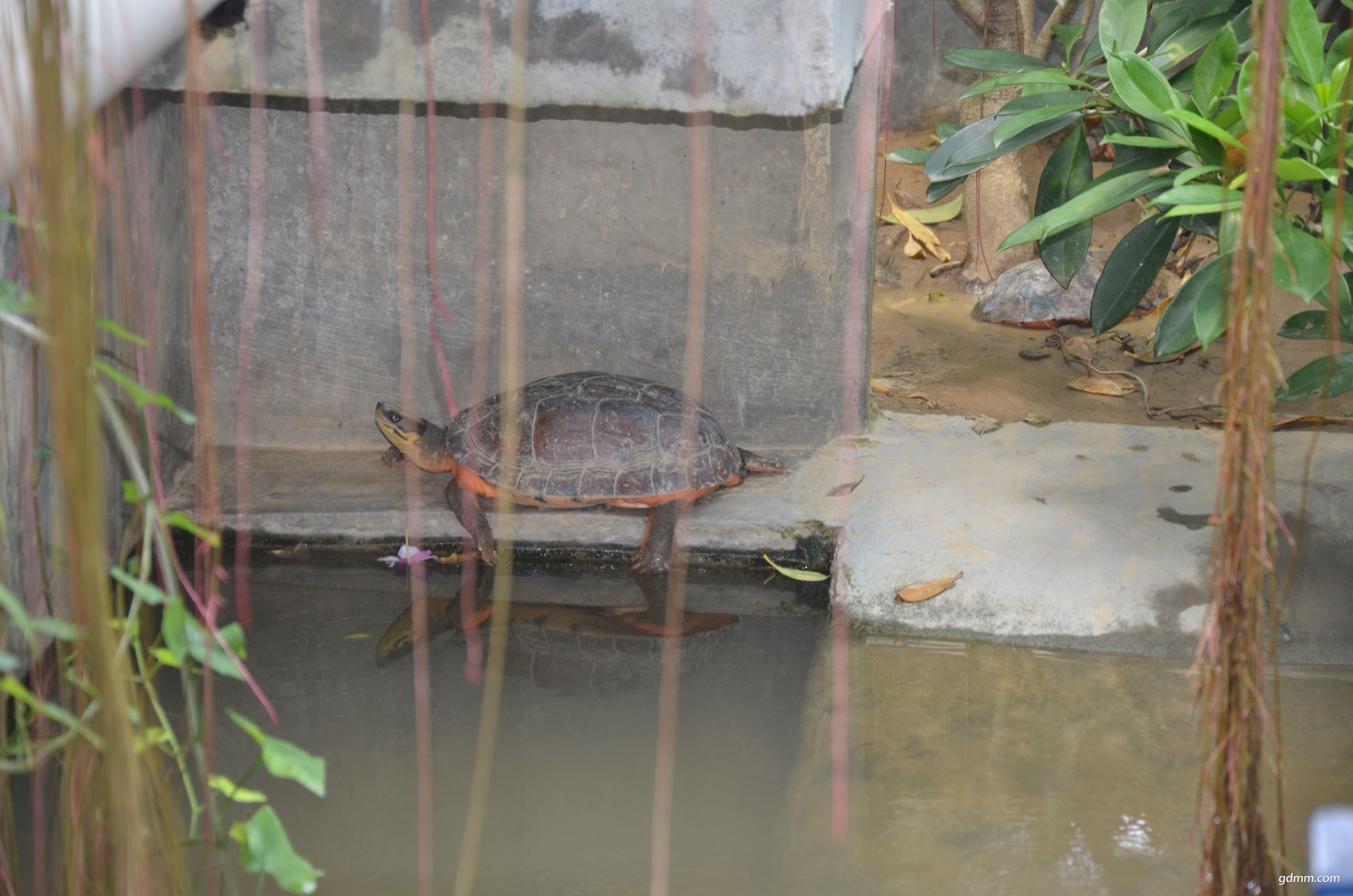 DSC_1386.JPG