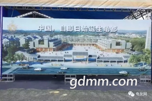 mmexport1505535089184.jpg