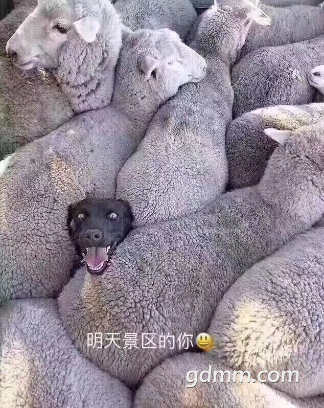 ɹ.jpg