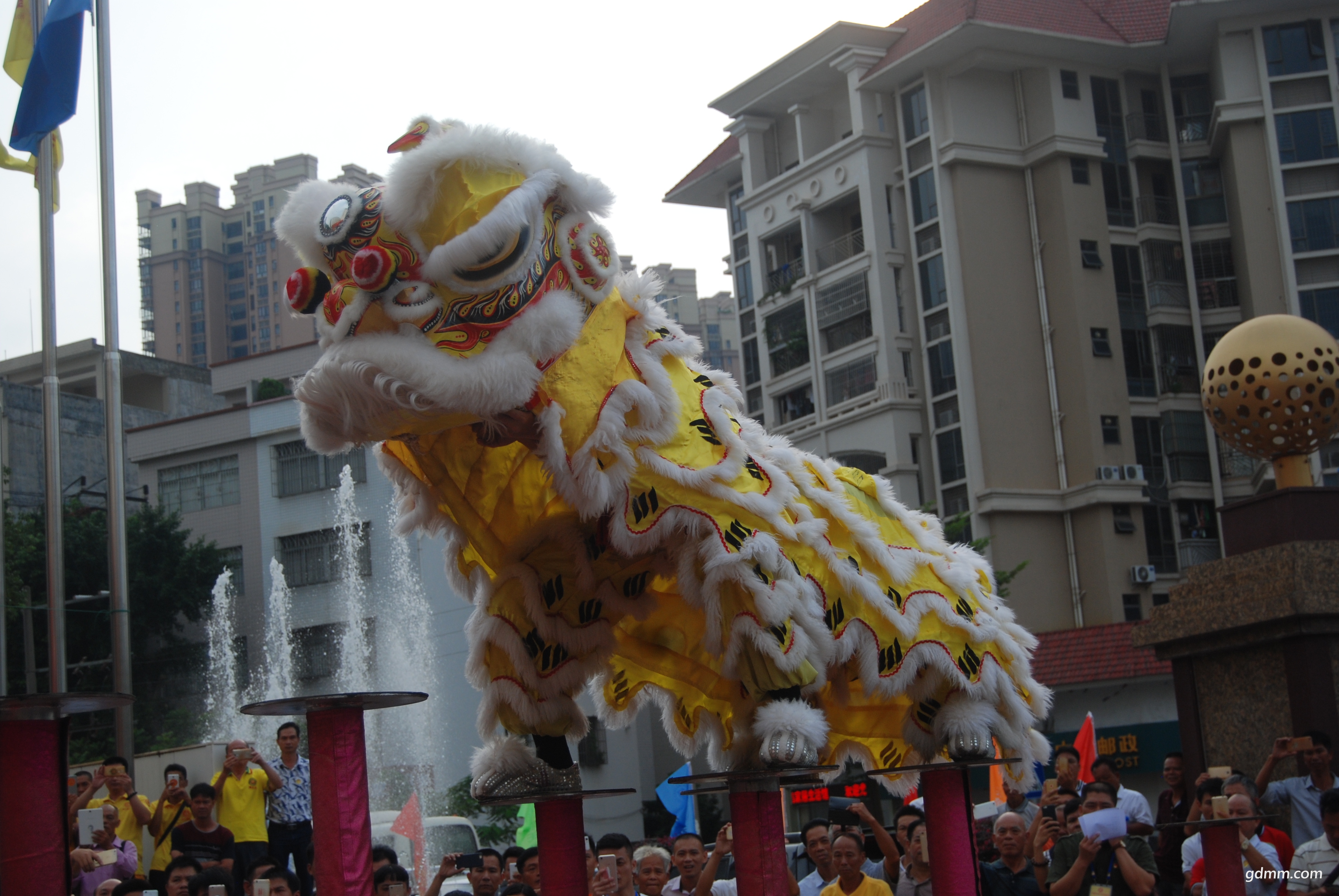 DSC_9296.JPG