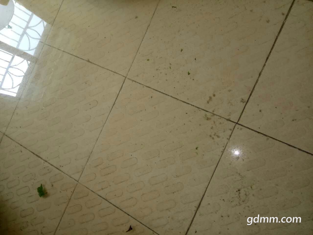 mmexport1509255500506.jpg