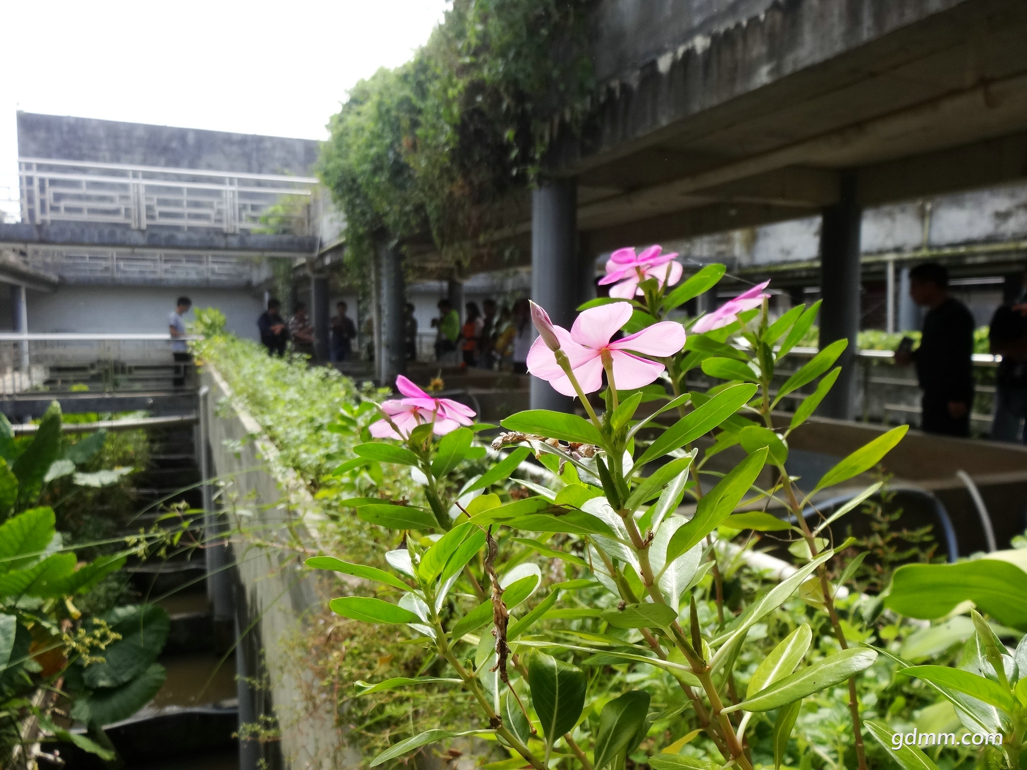 DSC03294.JPG