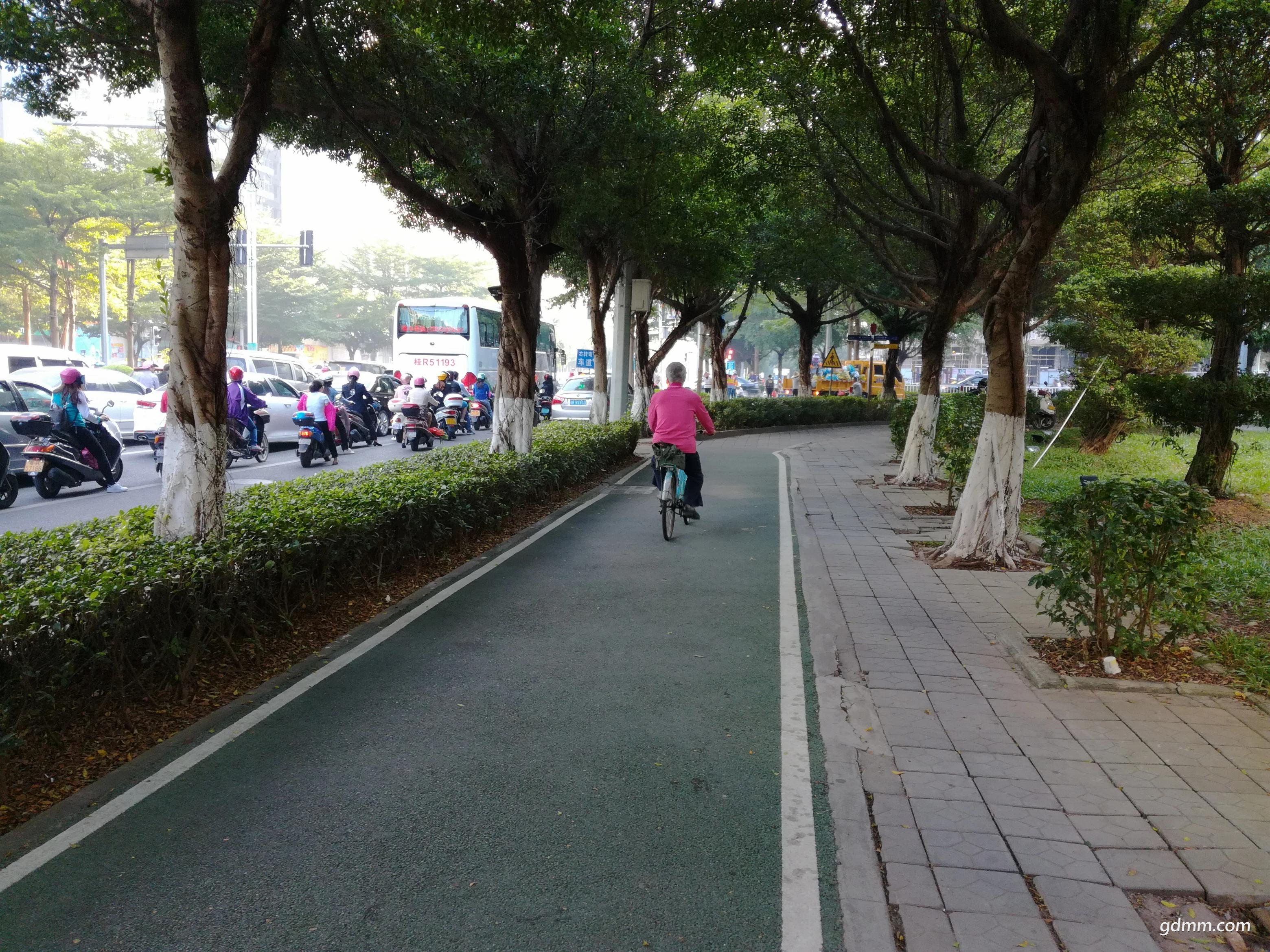 IMG_20171102_080847(75%).jpg