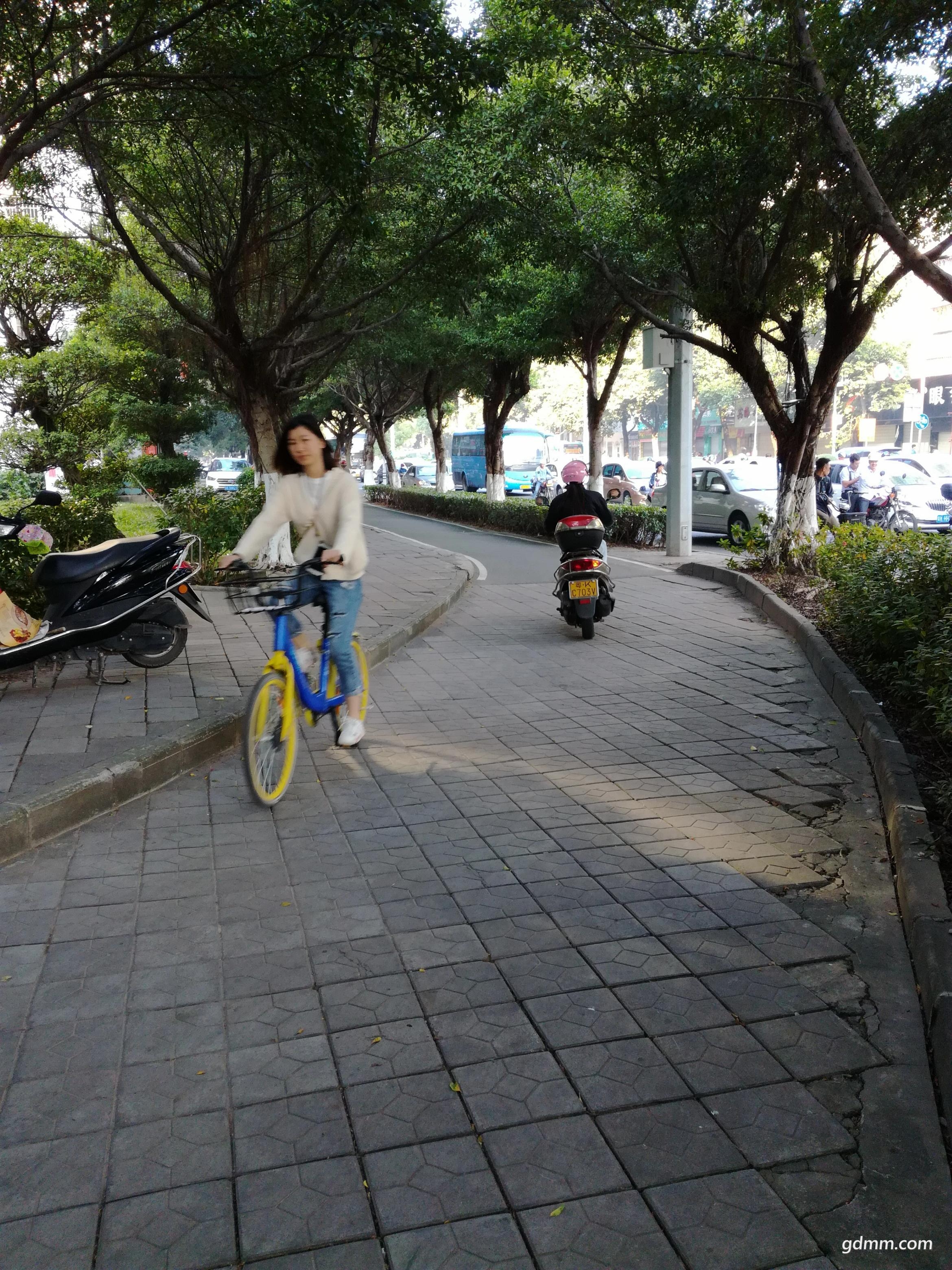 IMG_20171102_080245(75%).jpg