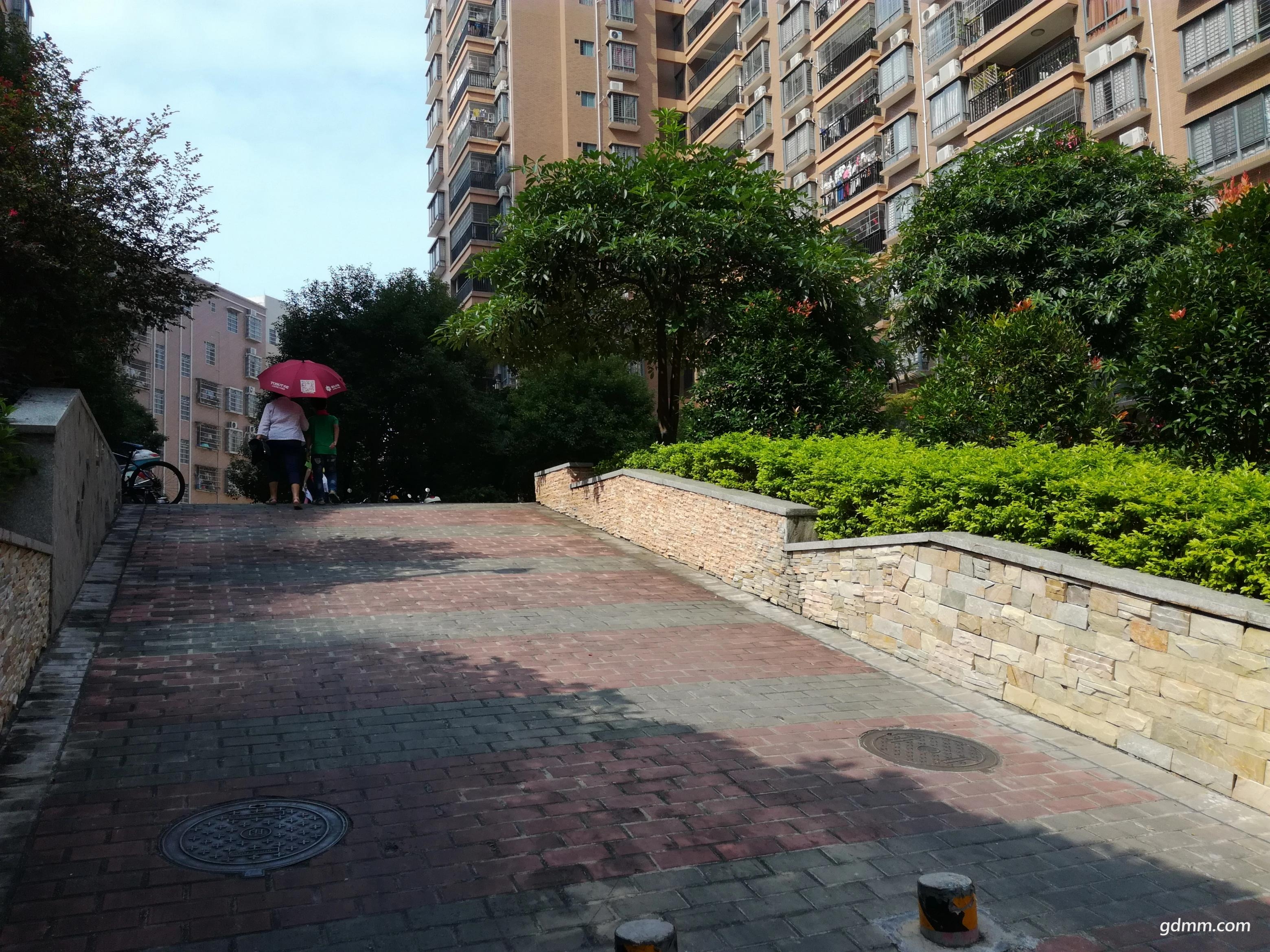 IMG_20171110_112927(75%).jpg