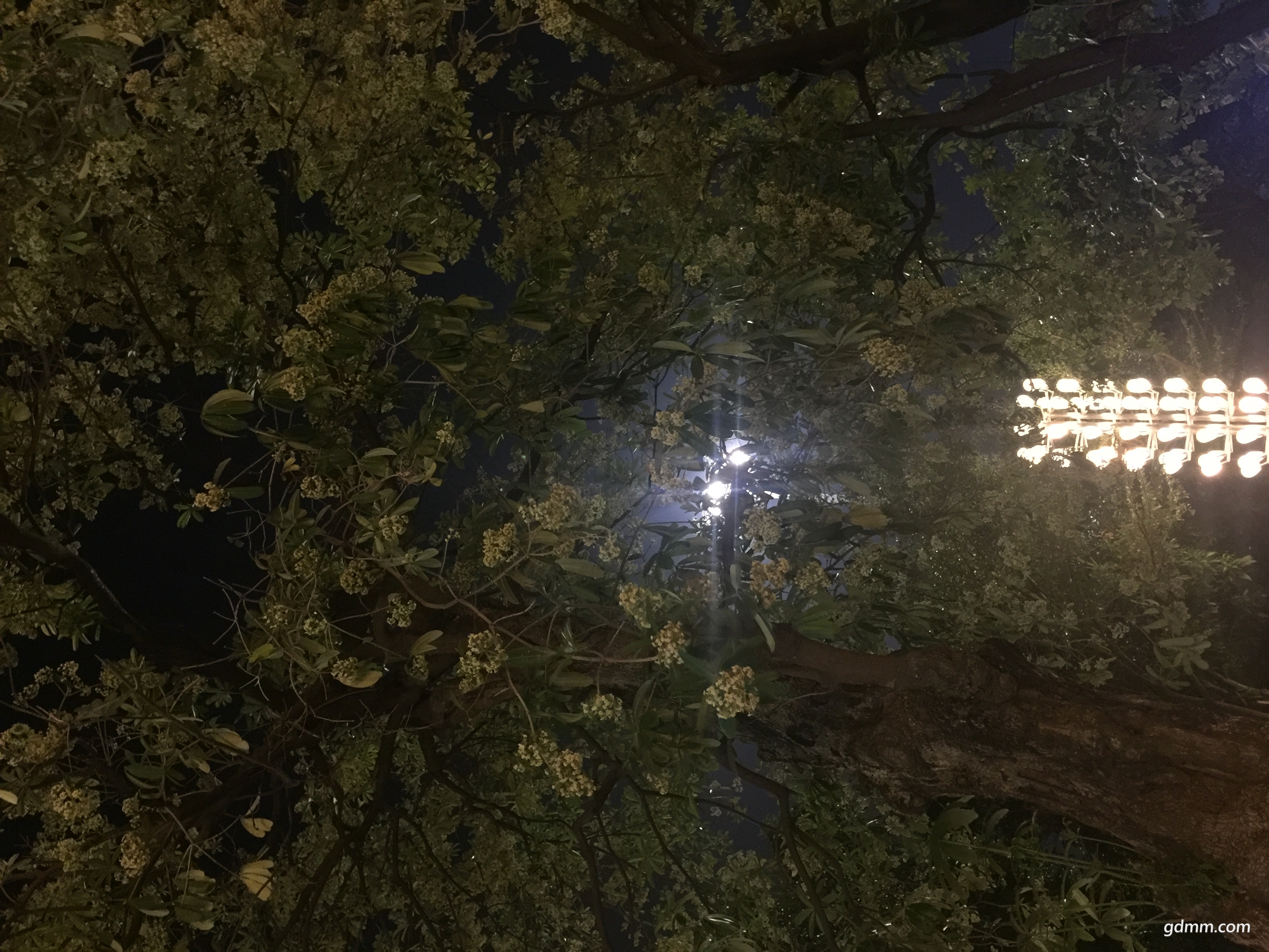 ΢ͼƬ_20171113111651.jpg