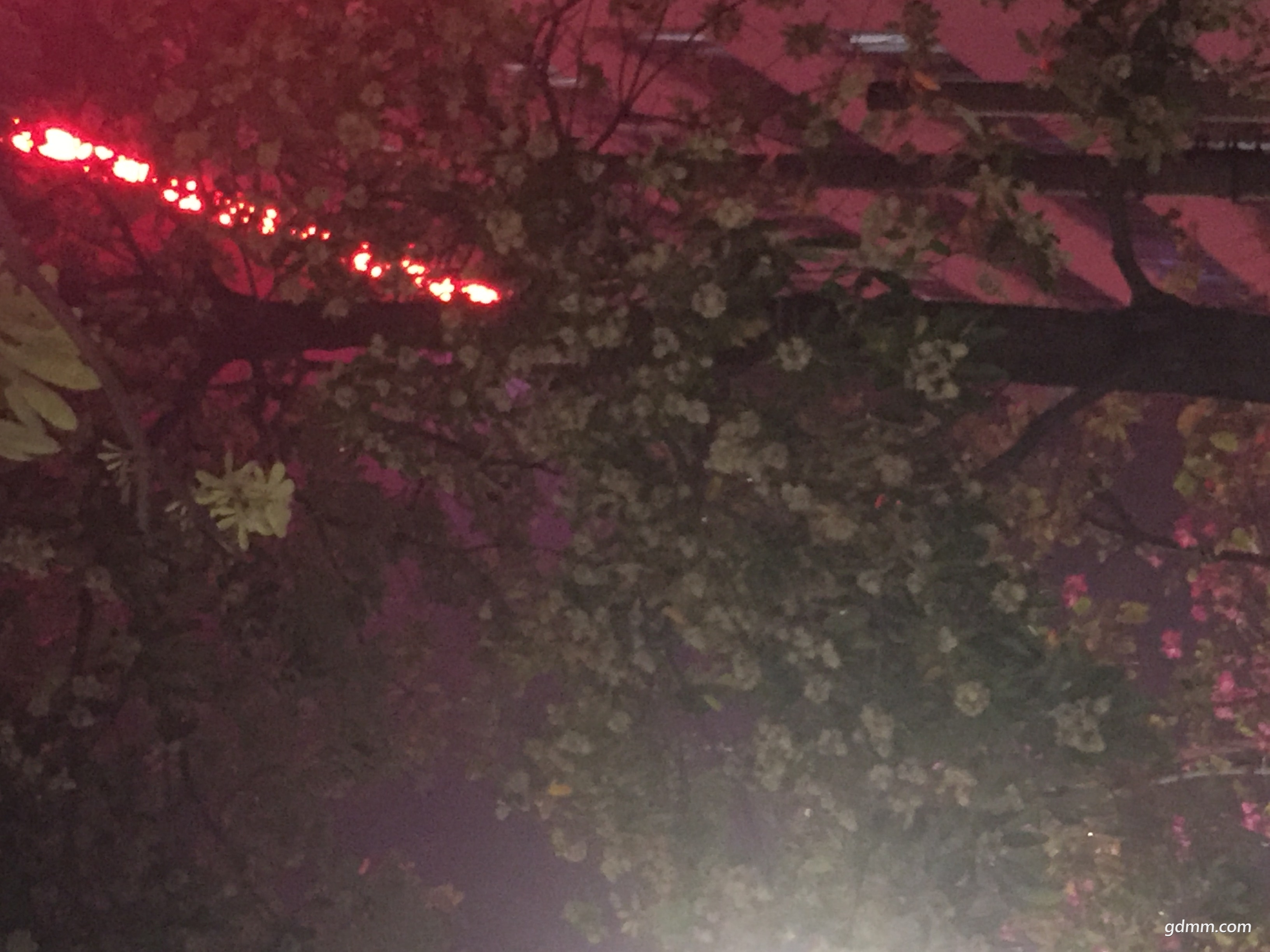 ΢ͼƬ_20171113111714.jpg