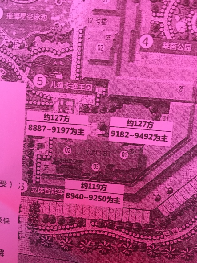 name_3.jpeg