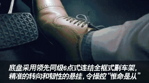 6.gif