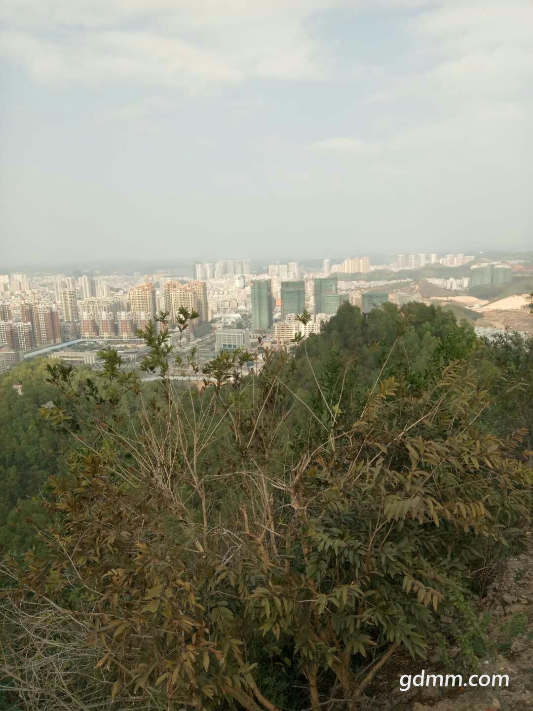 mmexport1513502863192.jpg