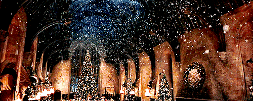 4.gif