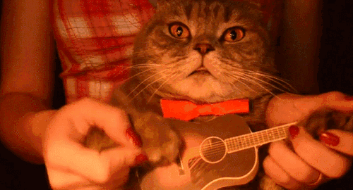 6.gif