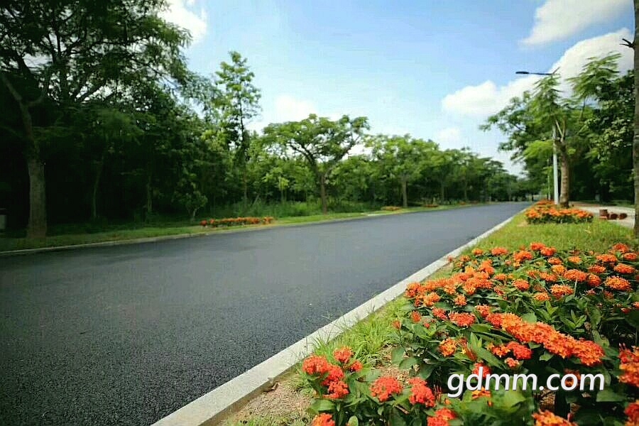 8aff7f6eddc451dae93b3d36bcfd5266d21632cc.jpg