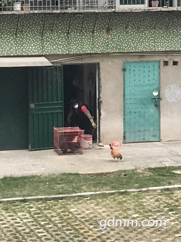ï_20171226_143810.jpg