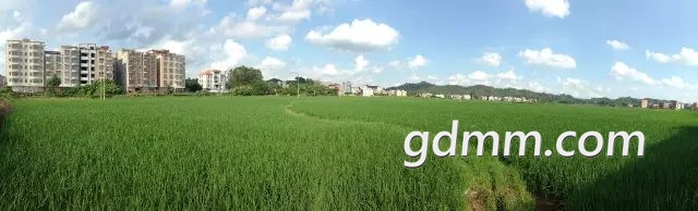 60.jpg